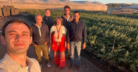 El Consejo Oleícola Internacional conoce de cerca el sector aceitero de Córdoba | OLIVE NEWS | Scoop.it