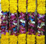 IUCN - Protected areas left short-changed by governments | Biodiversit&eacute; | Scoop.it