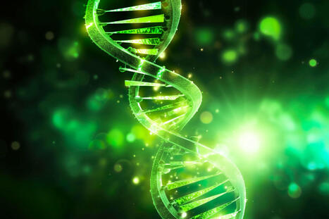 Scientists Unravel the Secrets of 37 Key Genes Linked to Reproductive Health and Longevity | Centre for Population Change Connecting Generations in the news | Scoop.it