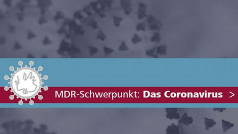 Grundschullehrerin wird zum Online-Star | MDR.DE | Anwendung – Medien und Informatik | Scoop.it