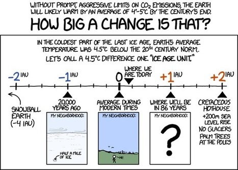 Cretaceous Hothouse: Poles Were Once Tropical Covered With Palm Trees | Amazing Science | Scoop.it