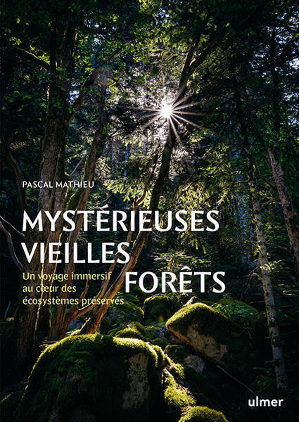 Myst&eacute;rieuses vieilles for&ecirc;ts - Pascal Mathieu -&nbsp;Editions Ulmer | Biodiversit&eacute; | Scoop.it