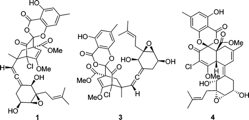 Spiroketals of Pestalotiopsis fici Provide Evidence for a Biosynthetic Hypothesis Involving Diversified Diels&ndash;Alder Reaction Cascades | Natural Products Chemistry Breaking News | Scoop.it