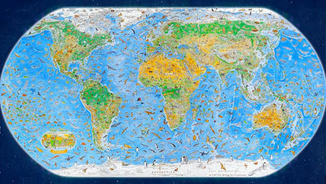 Ce cartographe reproduit 1642 espèces animales à la main sur une carte du monde | Biodiversité - @ZEHUB on Twitter | Scoop.it