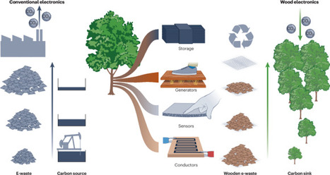 The wooden age of electronics | Nrm | RMH | Scoop.it