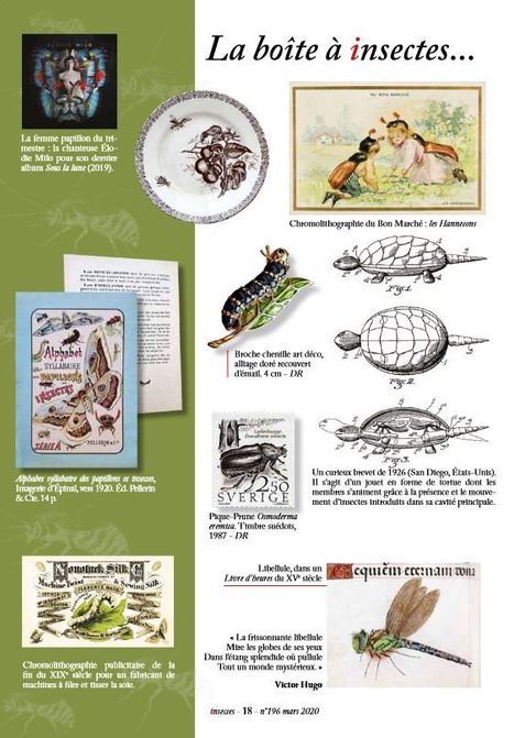 La Boîte à insectes, par Bruno Didier | Insect Archive | Scoop.it