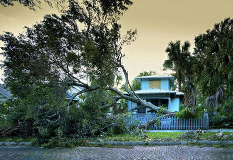 How to Prepare For a Hurricane and Other Natural Disasters  | Best Florida Lifestyle Scoops | Scoop.it