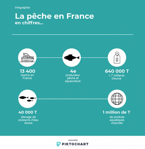 Salon de l'agriculture : les chiffres de la pêche en France - France 3 Pays de la Loire | HALIEUTIQUE MER ET LITTORAL | Scoop.it
