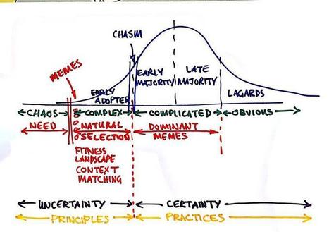 Wiki @Ayeba - Cynefin & Crossing the Chasm | Art of Hosting | Scoop.it