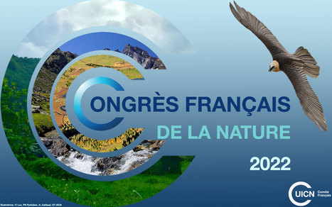 Congr&egrave;s de la Nature &agrave; Beauval : l'UICN liste ses avanc&eacute;es ! | EntomoNews | Scoop.it