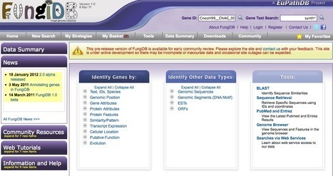 FungiDB: The Fungal and Oomycete Genomics Resource | bioinformatics-databases | Scoop.it