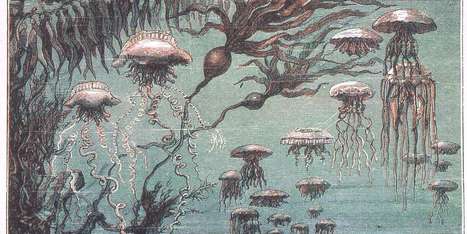 Les méduses, objets d’art | Biodiversité | Scoop.it