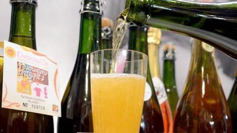 Alcool. Cidres et poirés entrent au "patrimoine" français | Ma douce France | Scoop.it