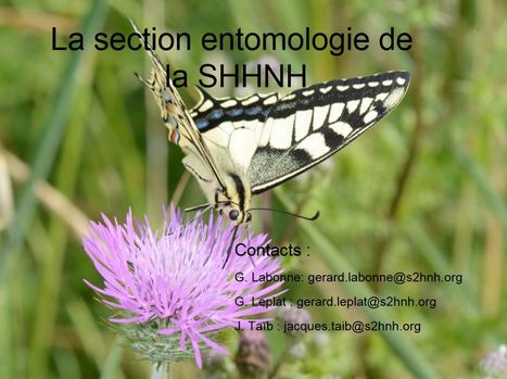 Soci&eacute;t&eacute; d'Horticulture et d'Histoire Naturelle de l'H&eacute;rault | Au fil des Associations | Scoop.it