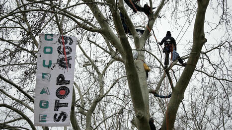 Des opposants à l'A69 perchés dans des arbres devant l'Assemblée nationale, avant l'examen d'un texte des députés macronistes | Planète DDurable | Scoop.it