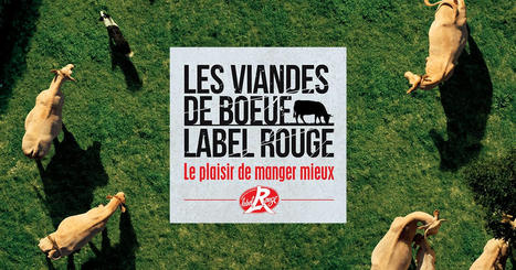 Les Viandes de B&oelig;uf Label Rouge, la garantie d&rsquo;une qualit&eacute; gustative sup&eacute;rieure | Actualit&eacute;s de l'&eacute;levage | Scoop.it