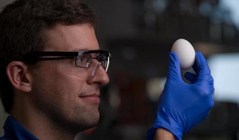 Scientists Figure Out How to Unboil an Egg | No Such Thing As The News | Scoop.it