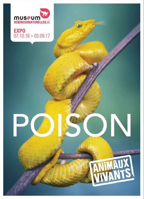 Exposition temporaire "Poison" à l'Institut royal des Sciences naturelles de Belgique | Variétés entomologiques | Scoop.it