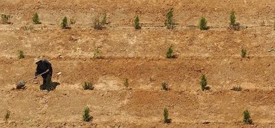 Are restoration efforts in China halting soil erosion? | Ecosystèmes Tropicaux | Scoop.it