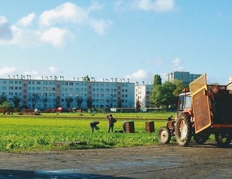 Le projet du parti Poétique, de la ferme de Gally et du Chef Alain Ducasse | Actualités Seine-Saint-Denis | Scoop.it