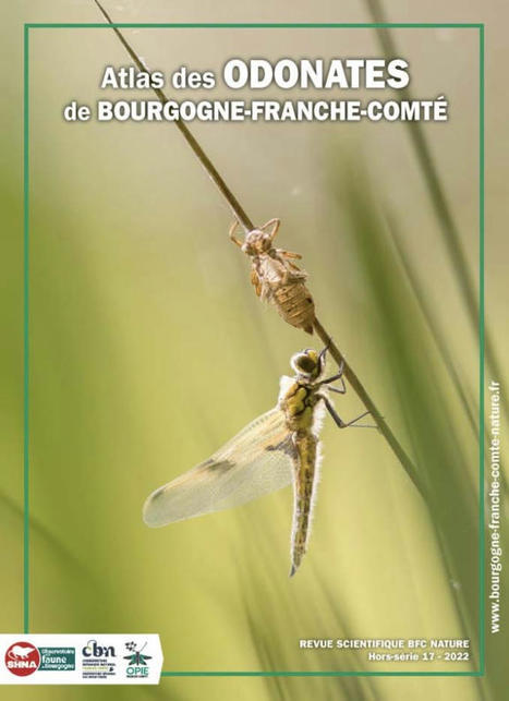 Nouvelle publication : L'Atlas des odonates de Bourgogne-Franche-Comté | Histoires bien Naturelles | Scoop.it