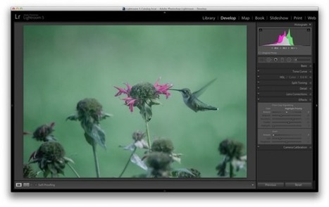 3 Uses for the Radial Filter Tool in Lightroom 5 | Image Effects, Filters, Masks and Other Image Processing Methods | Scoop.it