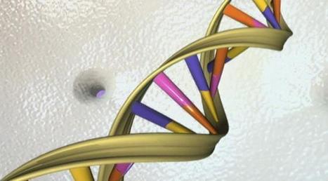 Sondage : 76% des Français opposés à la modification génétique des embryons humains | Bioéthique & Procréation | Scoop.it