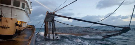 Les subventions au carburant dopent la p&ecirc;che au grand large | Plan&egrave;te DDurable | Scoop.it