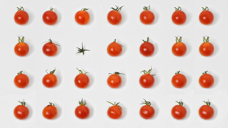 In a Downturn, Include Your Employees in Cost-Cutting Decisions | Retain Top Talent | Scoop.it