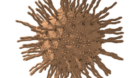 Giant viruses found in Austrian sewage fuel debate over potential fourth domain of life | Life Sciences Université Paris-Saclay | Scoop.it