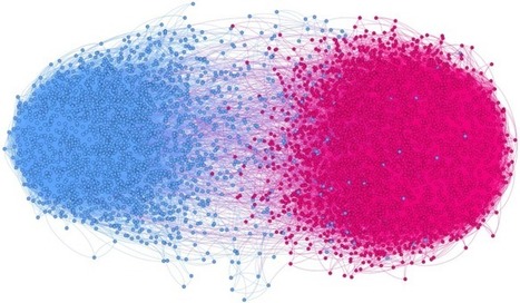 Social influence and unfollowing accelerate the emergence of echo chambers | networks and network weaving | Scoop.it