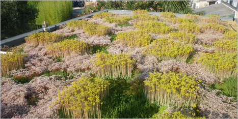 Graviland-Tech : la solution de toiture-terrasse végétalisée pour surmonter les contraintes climatiques grâce à son arrosage automatisé | Immobilier | Scoop.it