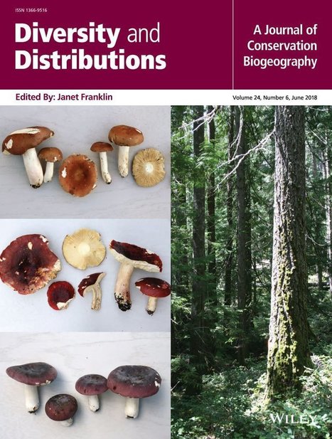 Where are Europe’s last primary forests ? Diversity and Distributions | Biodiversité | Scoop.it