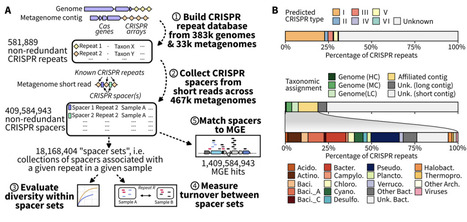 Planetary-scale metagenomic search reveals new patterns of CRISPR targeting | Brvsys | RMH | Scoop.it
