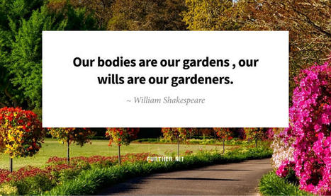 How to Engineer a Longer, Healthier Life | LongevityBluePrintRx | Scoop.it