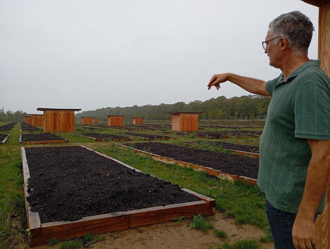 &Agrave; Versailles, une centaine de jardins potagers sortent de terre et sont &agrave; louer | Paysage - Agriculture | Scoop.it