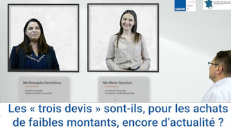 Les « trois devis » sont-ils, pour les achats de faibles montants, encore d’actualité ? [VIDEOS et article] | Commande publique | Scoop.it