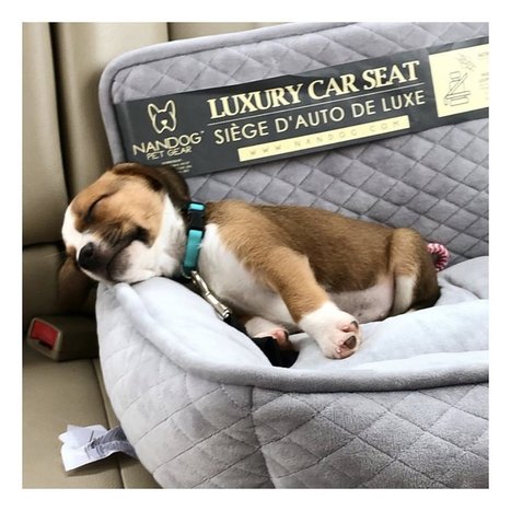 nandog car seat bed