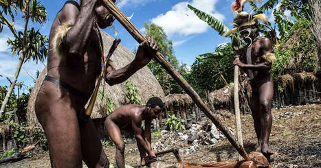 Amazonilla el&auml;&auml; ihmisi&auml; t&auml;ysin erist&auml;ytyneen&auml; ulkomaailmasta &ndash; nyt heit&auml; uhkaa tuho | Ulkomaat | Yle | 1Uutiset - Lukemisen t&auml;hden | Scoop.it