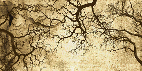 Download 20 Awesome Textured Photoshop Brushes | Textures and Backgrounds Journal | Scoop.it
