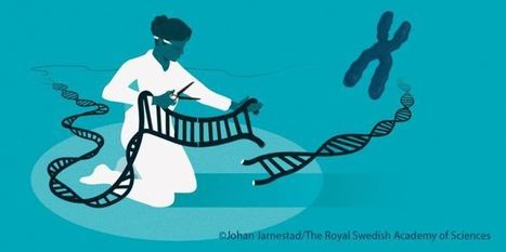 The Nobel Prize in Chemistry 2020 | CxAnnouncements | Scoop.it