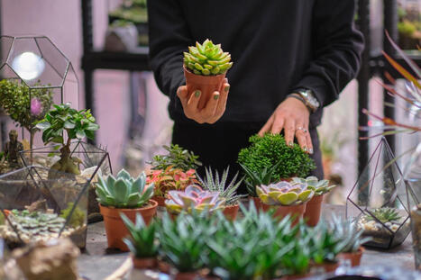 5 concepts uniques pour un jardin original qui sort de l'ordinaire | Paysage - Agriculture | Scoop.it