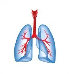 Asthme en lien avec le travail : professionnel ou exacerbé par le travail | Prévention du risque chimique | Scoop.it