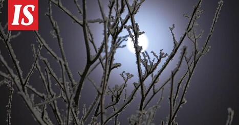 Talvip&auml;iv&auml;nseisaus on t&auml;n&auml;&auml;n 21.12.2025 | 1Uutiset - Lukemisen t&auml;hden | Scoop.it