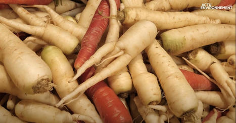 Contre le gaspillage alimentaire, les légumes biscornus sont mis à l'honneur | HORTICULTURE | Scoop.it
