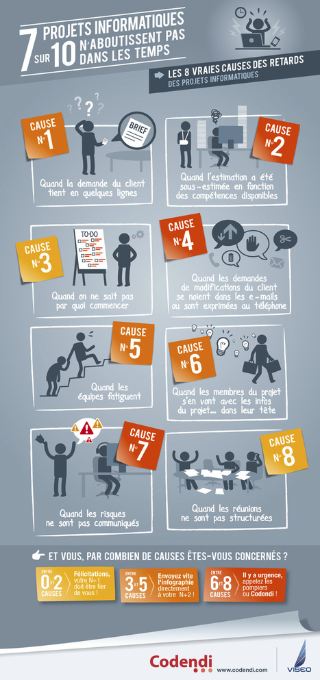Infographie : pourquoi 7 projets informatiques sur 10 &eacute;chouent | Cha&icirc;ne Critique | Scoop.it