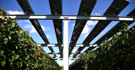 En Nouvelle-Aquitaine, EDF mise sur l&rsquo;essor des &eacute;nergies renouvelables | Les &eacute;co-activit&eacute;s en Gironde | Scoop.it