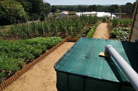 Une aide &agrave; l'acquisition d'un r&eacute;cup&eacute;rateur d'eau pluviale &agrave; Anglet (64) | Build Green, pour un habitat &eacute;cologique | Scoop.it