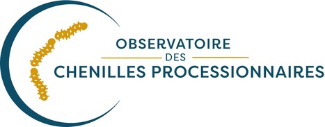 Observatoire des chenilles processionnaires | EntomoNews | Scoop.it