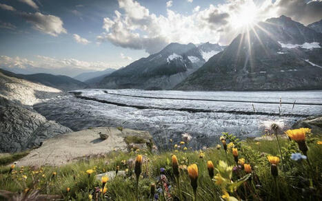 Wegen Pauschalabgabe: Aletsch Arena knackt Millionengrenze | (Macro)Tendances Tourisme & Travel | Scoop.it